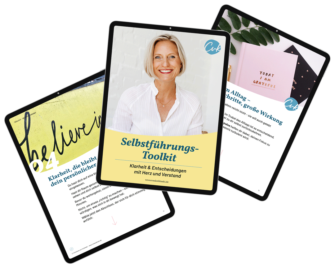 Selbstfuehrungs Toolkit 02 Selbstführungs-Toolkit