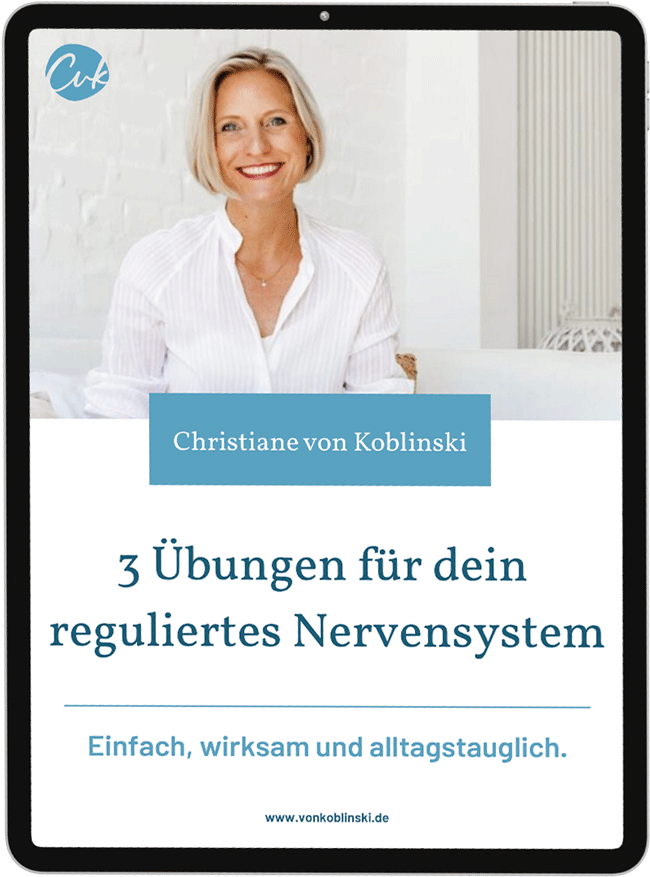 3 Übungen für dein Nervensystem, o€ Workbook Mock-Up