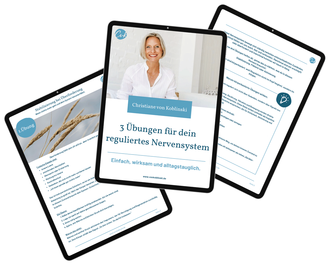 3 Übungen für dein Nervensystem, o€ Workbook Mock-Up
